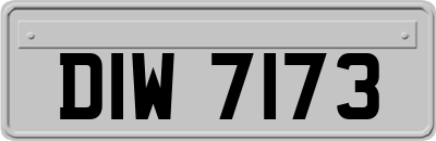 DIW7173