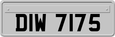 DIW7175