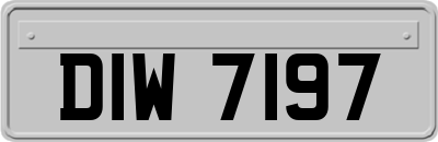 DIW7197