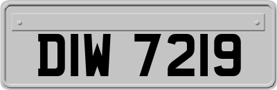 DIW7219