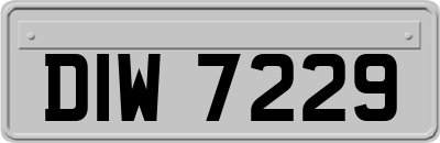 DIW7229