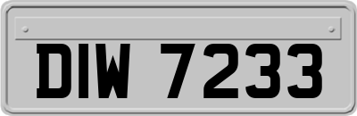 DIW7233