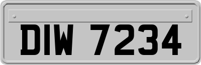 DIW7234