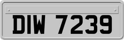 DIW7239