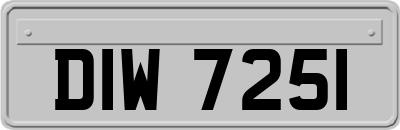 DIW7251