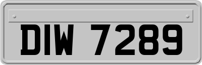 DIW7289