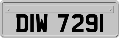DIW7291