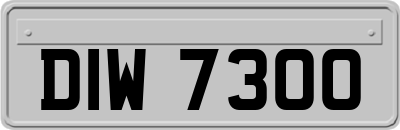 DIW7300