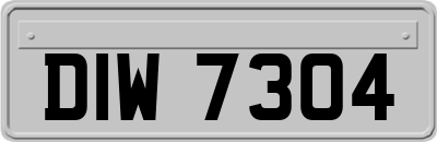 DIW7304