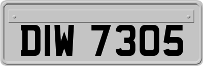 DIW7305