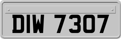 DIW7307