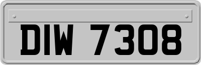 DIW7308