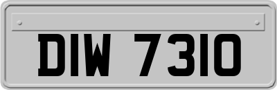 DIW7310
