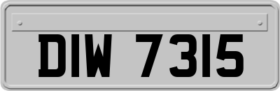 DIW7315