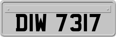 DIW7317