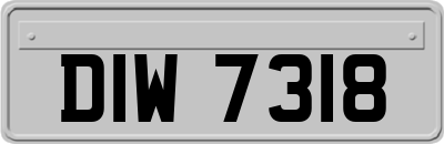 DIW7318