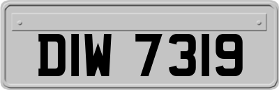 DIW7319