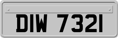 DIW7321