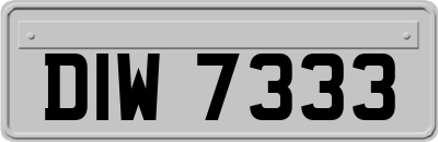 DIW7333
