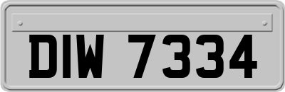 DIW7334