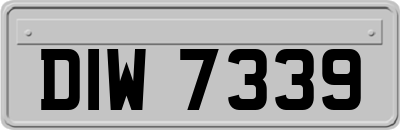 DIW7339