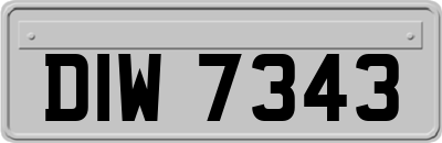 DIW7343