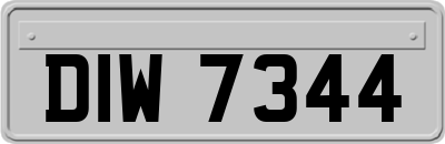 DIW7344