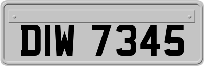 DIW7345