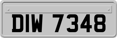 DIW7348