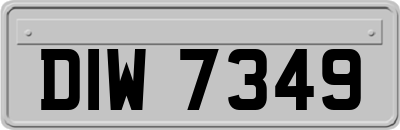 DIW7349