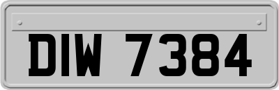 DIW7384