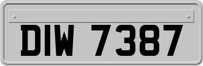 DIW7387