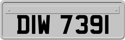 DIW7391