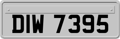 DIW7395