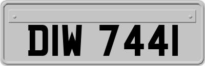 DIW7441