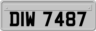 DIW7487