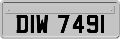 DIW7491