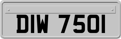 DIW7501