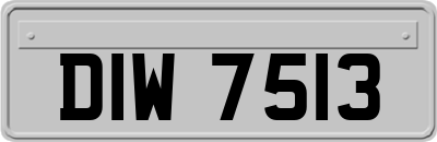 DIW7513