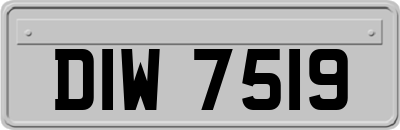 DIW7519