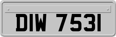 DIW7531