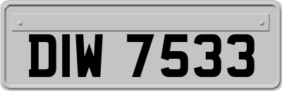 DIW7533