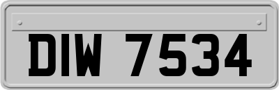 DIW7534