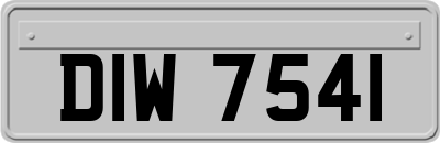 DIW7541