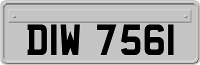 DIW7561