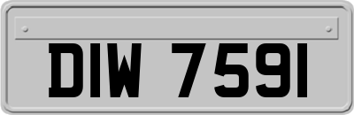 DIW7591