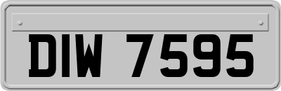 DIW7595