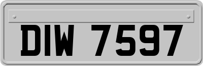 DIW7597