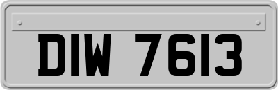 DIW7613