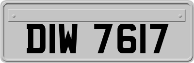 DIW7617